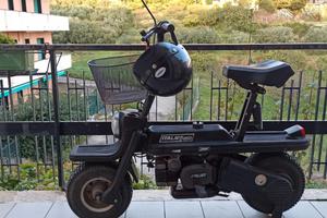 Italjet Pack 2 - 2011