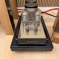 Amplificatori finali MASTERSOUND mono 845