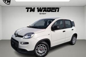 Fiat Panda 1.0 FireFly S&S Hybrid - NEOPATENTATI