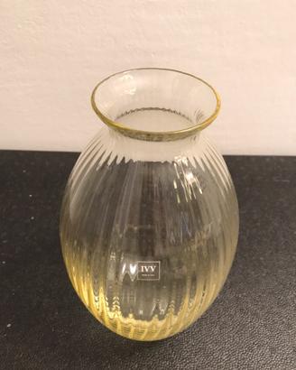 Vaso IVV