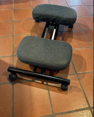 Sedia ergonomica Ikea