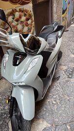 Sh 125 2024 falcon greey