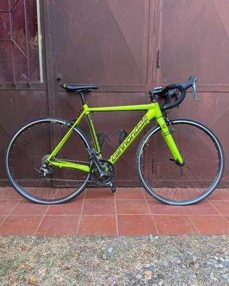 Bici da corsa - Cannondale