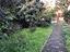 Immagine 6