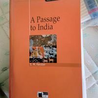 Passaggio in India