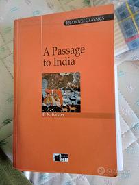 Passaggio in India