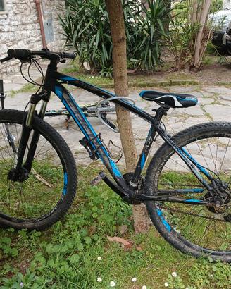 bicicletta 29 frera