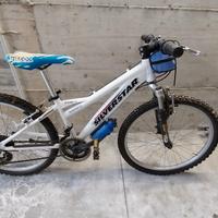 mountain bike silverstar