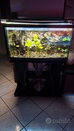 Acquario 120Lt. completo di tutto.