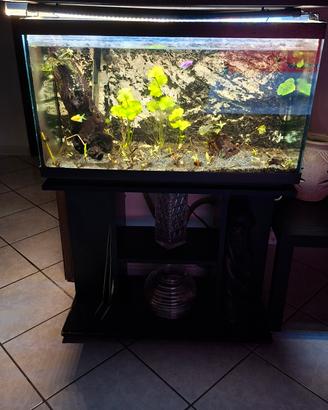 Acquario 120Lt. completo di tutto.