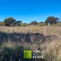 Sabaudia (LT) - Terreno 4.500 mq | TR456
