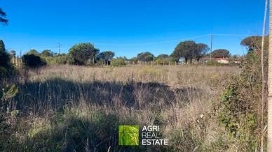 Sabaudia (LT) - Terreno 4.500 mq | TR456