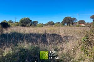 Sabaudia (LT) - Terreno 4.500 mq | TR456