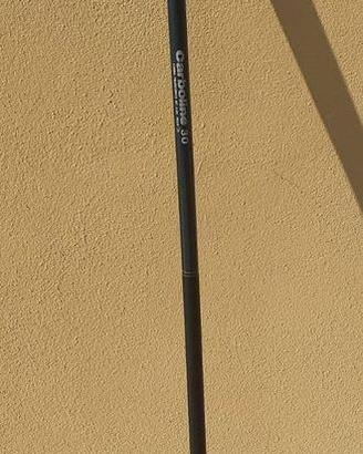 Canna da pesca