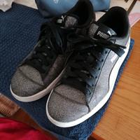 Puma argentate