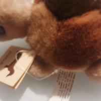 peluche tartaruga