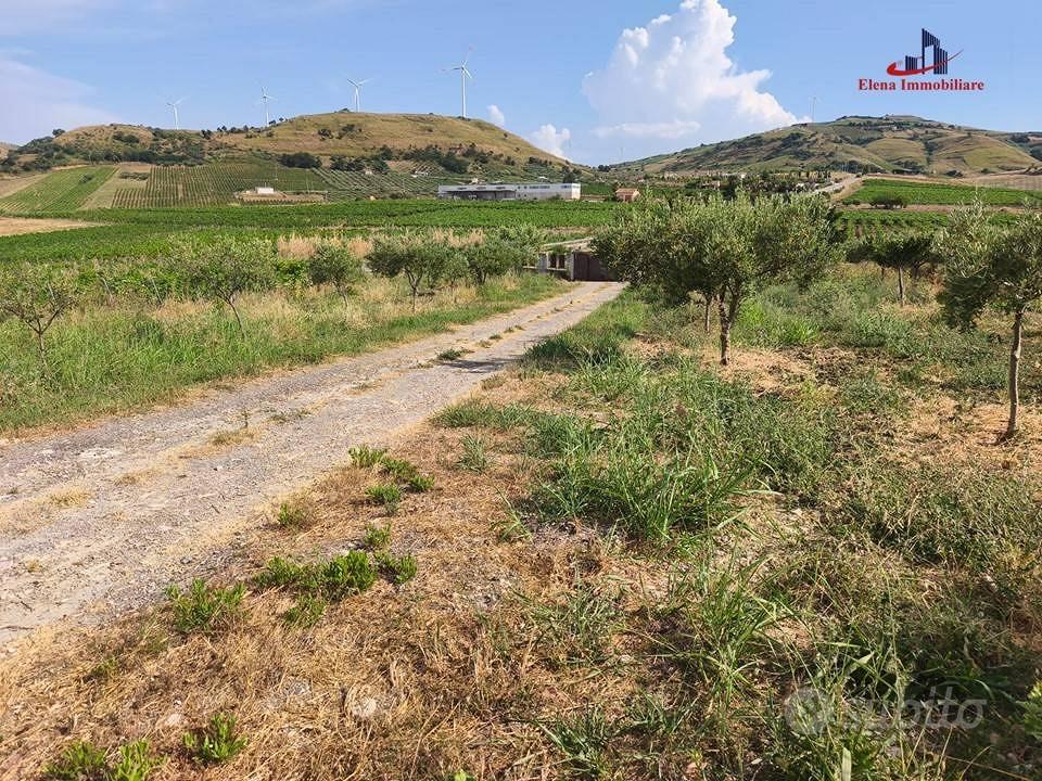 Terreno di 5000 m² a Alcamo - Vista 3
