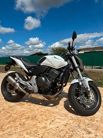 Honda Hornet CB600F 2011 - Full optional