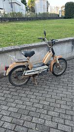 Atala uno rizzato 50