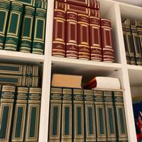 Enciclopedie treccani