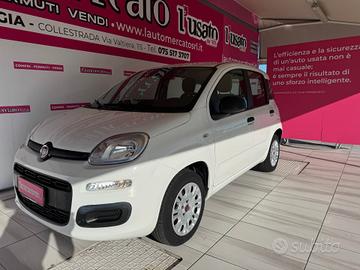 FIAT Panda 3ª serie Panda 1.2 Easy