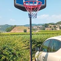 Canestro da basket 