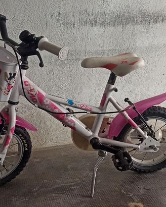 Bicicletta olmo