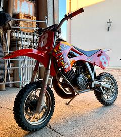 Minimoto cross lem lmx2 sport