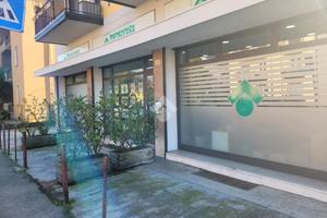 VILLA SINGOLA A VERONA