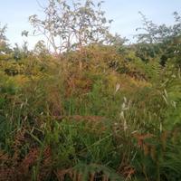 Sport e tempo libero