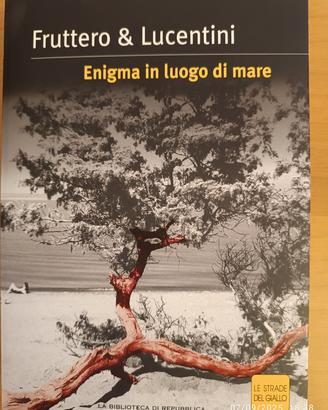 Enigma in luogo di mare di Fruttero & Lucentini 