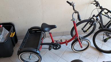 bicicletta a tre ruote 