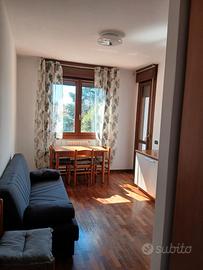 Bilocale in buone condizioni per una coppia