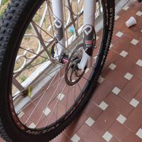 Bicicletta