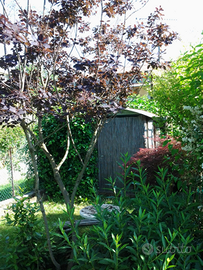 Casetta ingresso autonomo con giardini e terreno