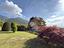 Immagine 29