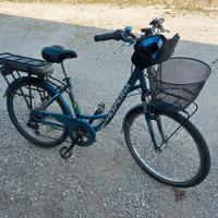 bici elettrica 