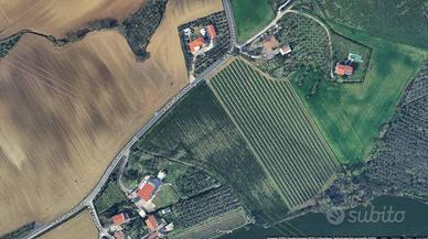 Terreno di 44000 m² a Rimini