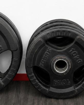 Dischi olimpici(50cm) e manubri-Toorx e Lacertosus