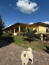 Villa di 307 m² con più di 5 locali e box auto dop