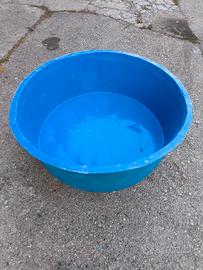 Bowl rotonda misurazione/ispezione koi