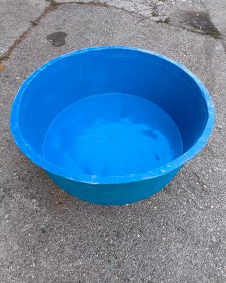 Bowl rotonda misurazione/ispezione koi