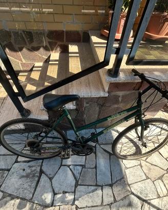 Mountain bike Scrambler/LongWay vintage