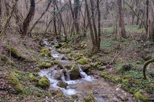 Boschi per vari utilizzi e diverse metrature