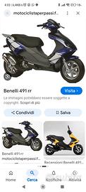 Benelli 491