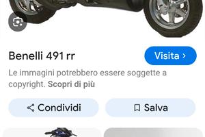 Benelli 491