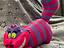 Immagine 1