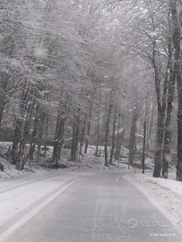 Appartamento Monte Livata