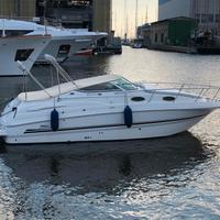Chaparral 260 Signature