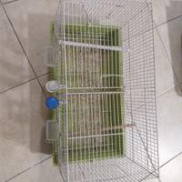 Gabbia per uccelli
